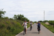 On the road to the Molino and Lagares cellar (Bullas)