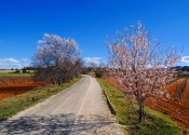 La Vía Verde del Noroeste, hacia Caravaca de la Cruz. Días 3 y 4. Autor: Alex Rodier