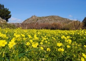 Spring in the Ricote valley, end of the Castles and Sanctuaries bike route. Day 7. © Alex Rodier