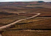 De camino a Caravaca, por los campos de trigo y cebada. Día 3. Autor Juantxi by Flickr.