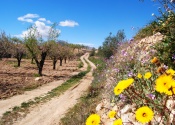 Le printemps est la meilleure saison pour découvrir l'Espagne à vélo. Sur le chemin de Vélez Blanco. Jour 2. Auteur: Alex Rodier