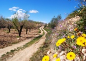 On the road to Vélez Blanco. Day 2. Author: Alex Rodier