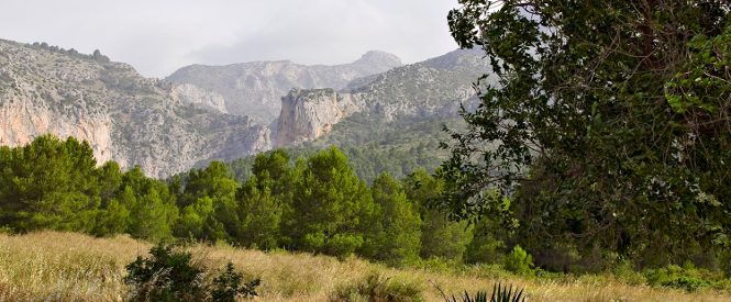 Sierra Espuña vista desde Collado Bermejo. Autor: Espubike