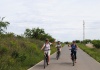 On the road to the Molino and Lagares cellar (Bullas)